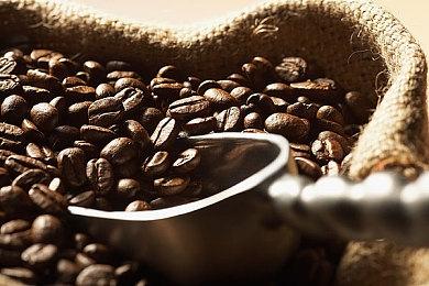 《暗黑破坏神4》压力测试新预告片展示世界Boss